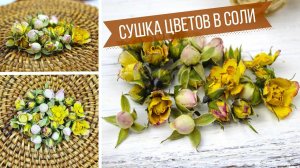 Любимый способ! Объемная сушка цветов в домашних условиях / Засушиваю бутоны роз в соли