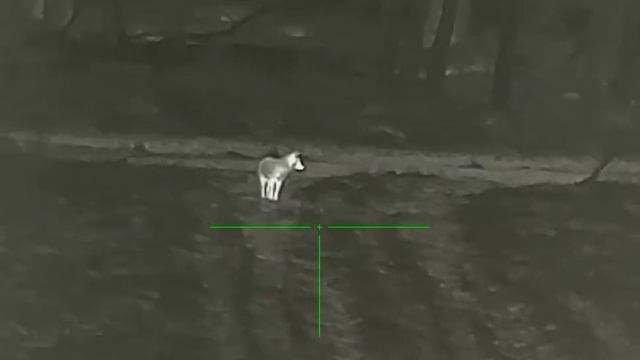 IRay rico rl42 смотреть онлайн