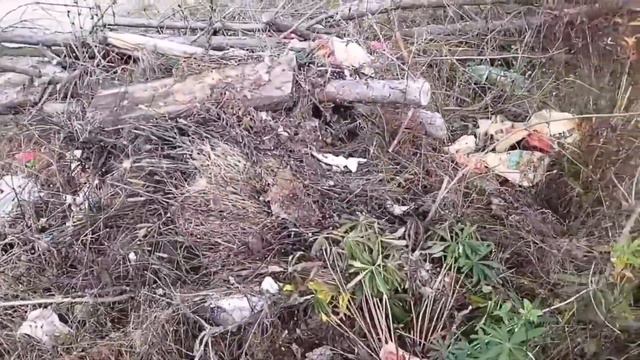 ЛЮДИ - МУСОР. смотреть онлайн