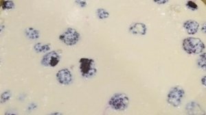 Творожный пирог с ежевикой