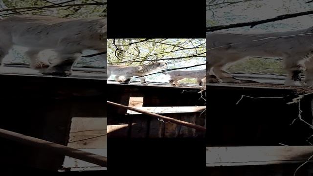 это только начало)))