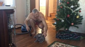 Пылесосим кота правильно))