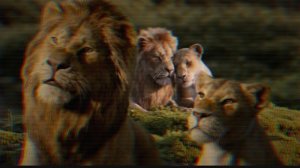 Нала и Симба||Ненавижу тебя, но люблю