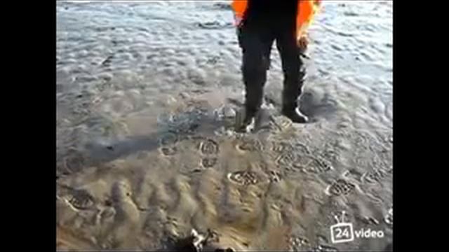 Зыбучие пески. смотреть онлайн