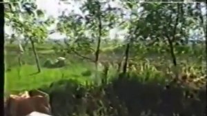 200 лет Незамаевской станице. 1994 год. Часть 1я