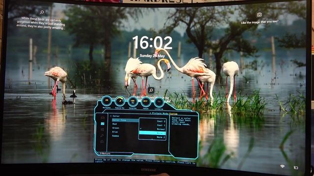How To Adjust Color Settings On Samsung Odyssey G5 смотреть онлайн