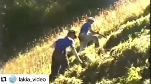 Лакку балай. Лакку билаят.  Лакцы. Красивый голос. Дагестан. Лакская песня. Родной язык. Лак.