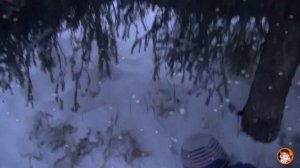 Зимняя сказка в Новогоднюю ночь