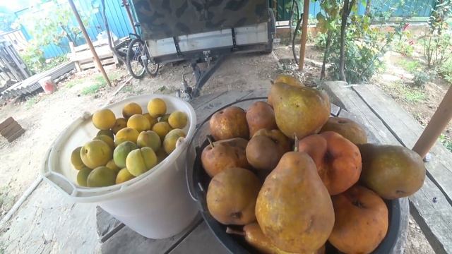 КУПИЛИ ДОМ У МОРЯ. Как мы живём с соседями?