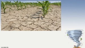 Какие природные явления могут быть опасными