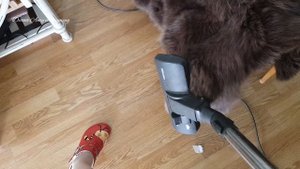 ASMR Relaxed vacuuming with Miele vacuumer cleaner