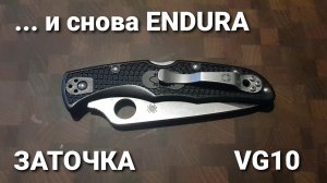 Заточка... и снова Endura4 (Spyderco)