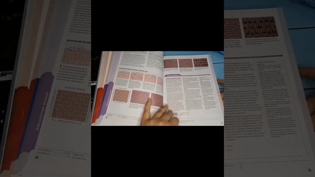 Обзор книги Школа вязания спицами. смотреть онлайн