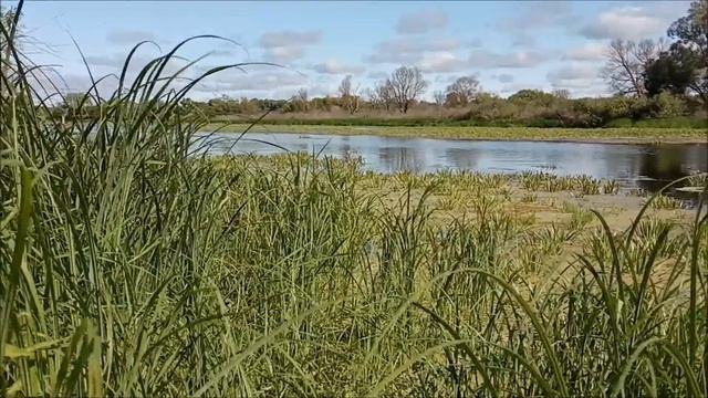 Белые Берега Пироговка смотреть онлайн