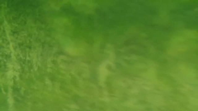 #КАПЧАГАЙ под водой 09.06.19г смотреть онлайн