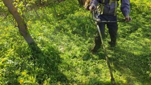 Классическая бензокоса Альпина. Всё по настоящему.