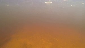 Рыбалка на р Оять .Трудовая рыбалка.