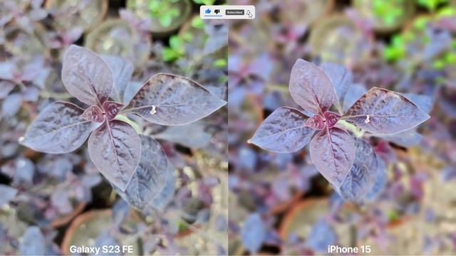 Samsung Galaxy S23 FE VS iPhone 15 Camera Test Comparison смотреть онлайн