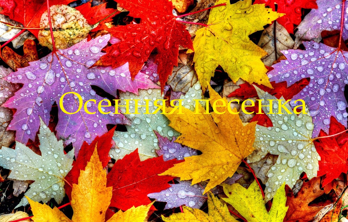 "Осенняя песенка" слова Э.Флорита (перевод С.Гончаренко) и В. Странадкина - музыка В. Странадкина смотреть онлайн