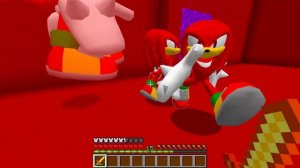 I Found new SECRET ROAD to SONIC KNUCKLES SUPER SONIC and TAILS PLANET in Minecraft !