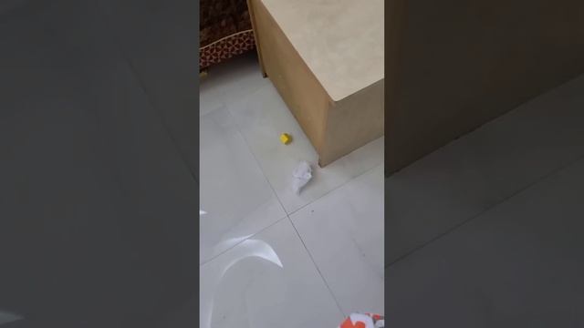 Подарки перепонили эмоциями Никушу , не сидит на месте ребёнок ! смотреть онлайн