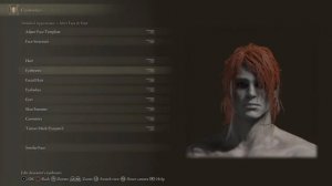 ELDEN RING - RADAGON OF THE GOLDEN ORDER - Character Creation Sliders [Very Similar]