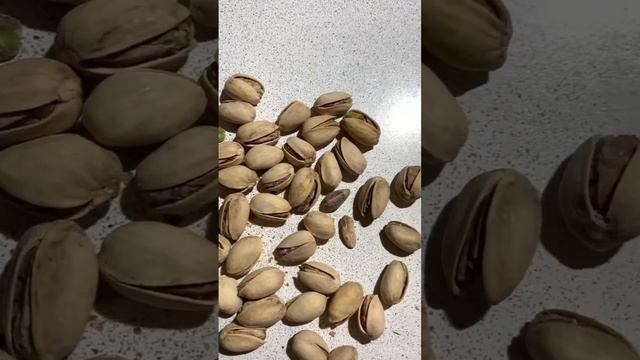 Супер крутые фисташки из Красное и Белое смотреть онлайн