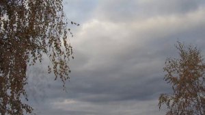 Уильям Шекспир. Сонеты: 90 Уж если ты разлюбишь. 147 Любовь,недуг.