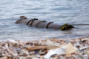 Пушку XIX века подняли со дна и передали музею севастопольские водолазы МЧС России