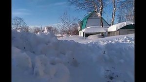 холодное копчение грудинки, курицы и мяса