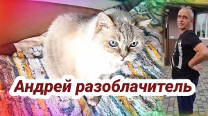 Андрей разоблачитель. Муробзор Андрей и Светлана Сытники