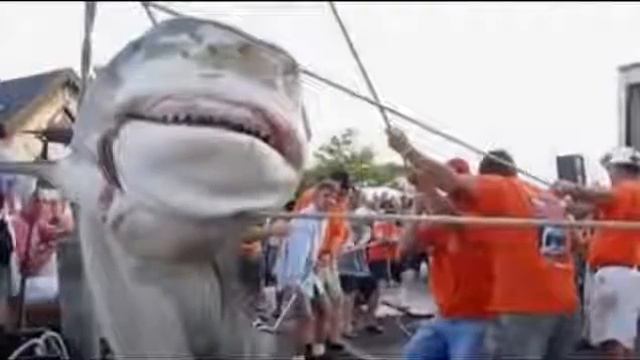 Все самое интересное (шокирующие существа водного мира) смотреть онлайн