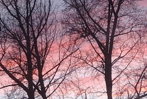 3.МАРТ.Песня жаворонка..mp4