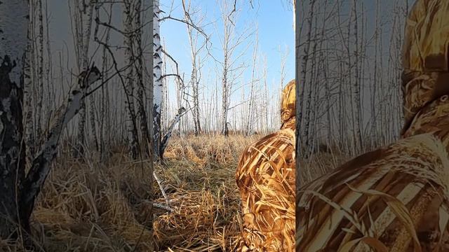 Два круга и точный выстрел🦆💥 смотреть онлайн