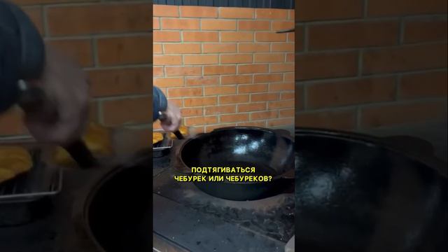 Как правильно чебурек или чебуреков___🤔