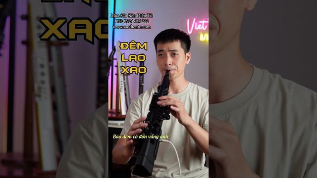 Đêm Lao Xao | Tuấn Đạt Cover | Sáo kèn điện tử (Wind Synthesizer)