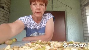 28 июля 2020 г.Яблоня сорт МЕДУНИЦА.