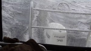 Феникс 510. Суровые будни наши.