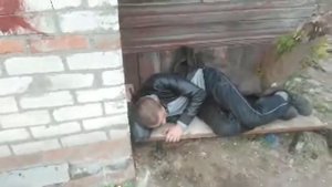 МАКЛЕЙН ГРУСТИТ