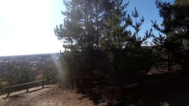 Прогулка по осеннему лесу смотреть онлайн