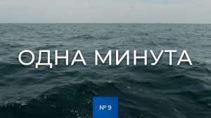 № 9 / Одна минута / В море / Лето / Балтика