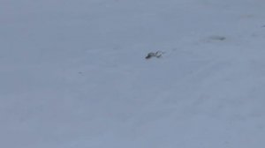 Большой кременкуль рыбалка на льду 27.11.2016 год