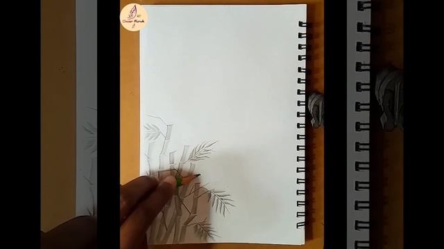 How to draw bamboo tree  with pencil | Drawing Society