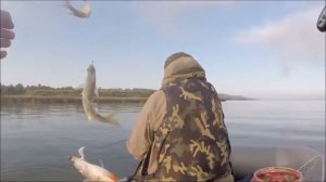 Классная оснастка... И щука и окунь на спиннинг по несколько штук за раз!!!