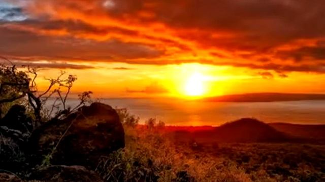 Дмитро Коноверський. Некрасов. "Современная ода" смотреть онлайн