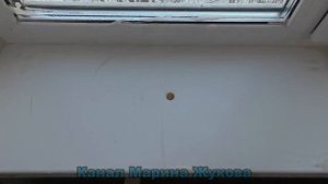 Как ОЧИСТИТЬ и ОТБЕЛИТЬ пластиковый ПОДОКОННИК Окна Стекла от ПЫЛИ, ГРЯЗИ, ЖЕЛТЫХ ПЯТЕН, КЛЕЯ