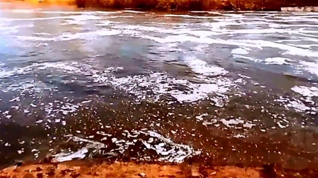 Домашнее видео 2015