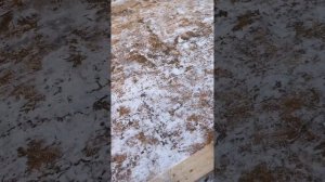 Ход строительства дома из Сип панелей в Егорьевске