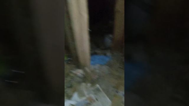 нашёл медаль в подвале