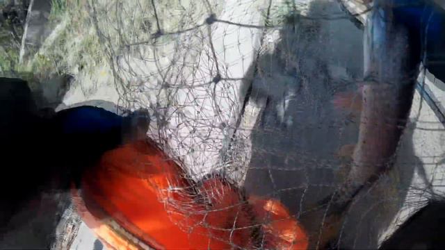 Ахтуба Джиг Щука смотреть онлайн